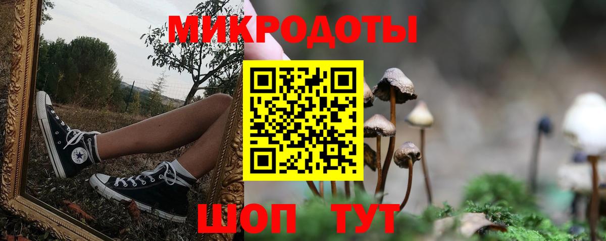 Псилоцибиновые грибы Magic Shrooms  Псилоцибиновые грибы ЛСД  Вход с VPN  Нововоронеж 