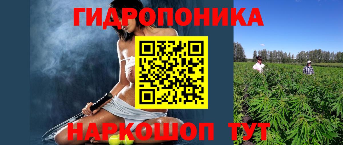 Канабис OG Kush Нововоронеж
